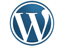 Wordpress Security e Patch Update automatici